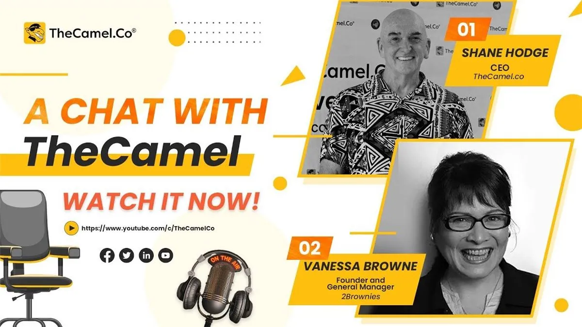 A Chat With The Camel: AI in Marketing and The Importance of Business Planning